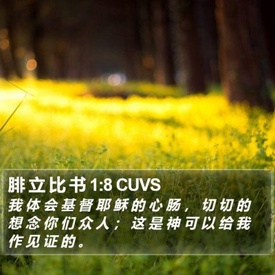 腓 立 比 书 1:8 CUVS Bible Verse Image