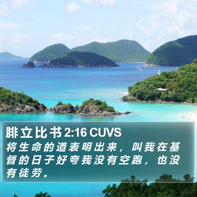 腓 立 比 书 2:16 CUVS Bible Verse Image