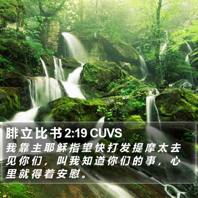 腓 立 比 书 2:19 CUVS Bible Verse Image