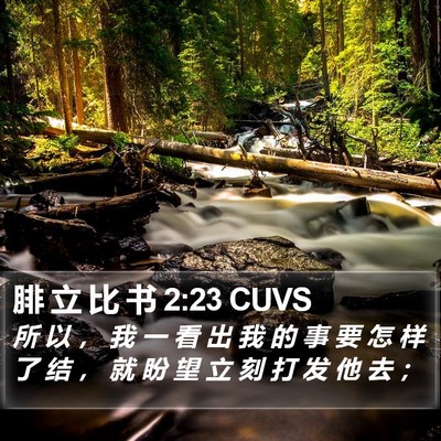 腓 立 比 书 2:23 CUVS Bible Verse Image