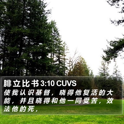 腓 立 比 书 3:10 CUVS Bible Verse Image