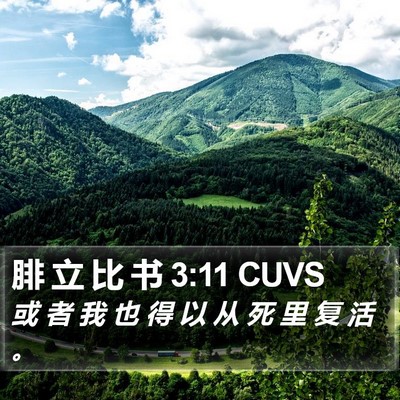 腓 立 比 书 3:11 CUVS Bible Verse Image