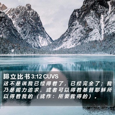 腓 立 比 书 3:12 CUVS Bible Verse Image