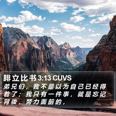 腓 立 比 书 3:13 CUVS Bible Verse Image