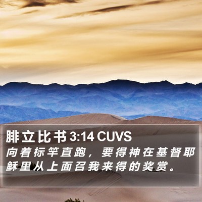 腓 立 比 书 3:14 CUVS Bible Verse Image