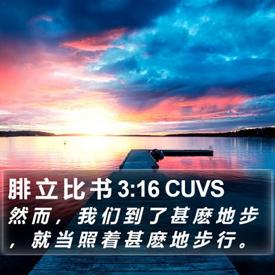 腓 立 比 书 3:16 CUVS Bible Verse Image