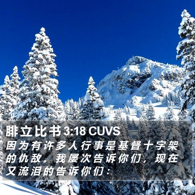 腓 立 比 书 3:18 CUVS Bible Verse Image