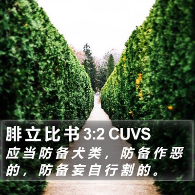 腓 立 比 书 3:2 CUVS Bible Verse Image
