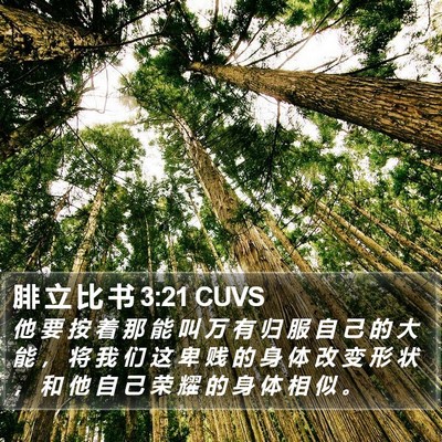 腓 立 比 书 3:21 CUVS Bible Verse Image