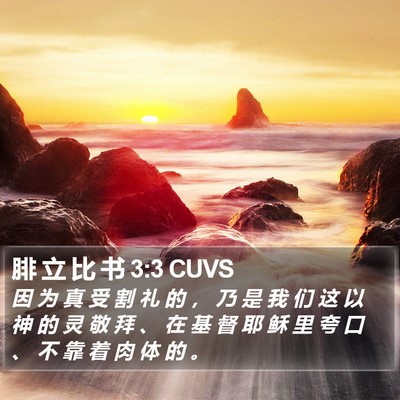 腓 立 比 书 3:3 CUVS Bible Verse Image