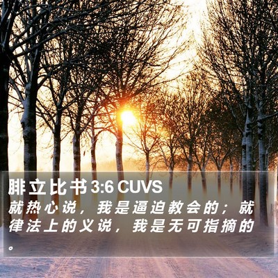 腓 立 比 书 3:6 CUVS Bible Verse Image