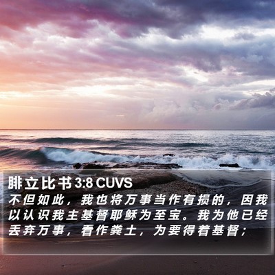 腓 立 比 书 3:8 CUVS Bible Verse Image