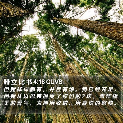 腓 立 比 书 4:18 CUVS Bible Verse Image