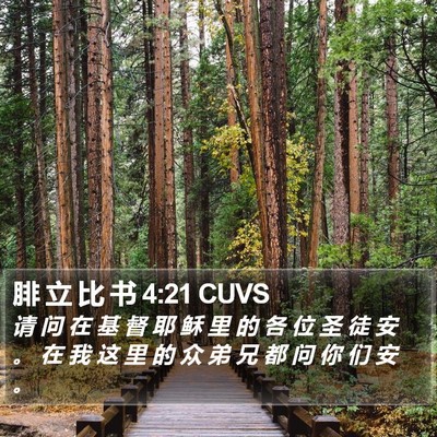 腓 立 比 书 4:21 CUVS Bible Verse Image