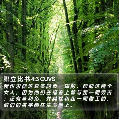 腓 立 比 书 4:3 CUVS Bible Verse Image