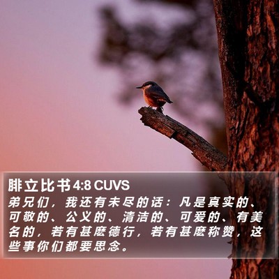 腓 立 比 书 4:8 CUVS Bible Verse Image