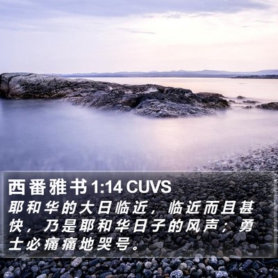西 番 雅 书 1:14 CUVS Bible Verse Image
