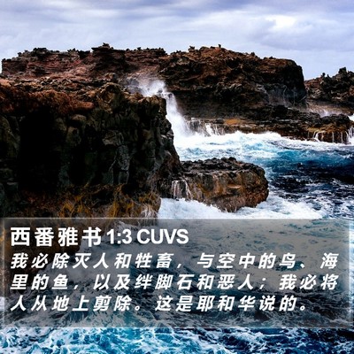 西 番 雅 书 1:3 CUVS Bible Verse Image