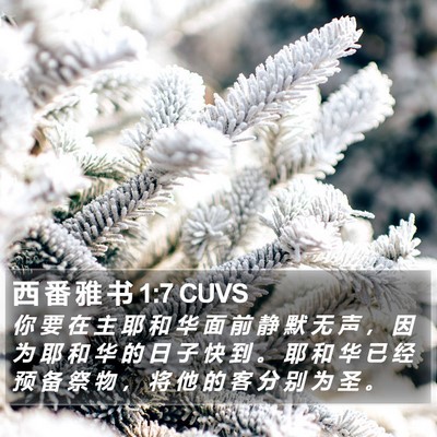 西 番 雅 书 1:7 CUVS Bible Verse Image