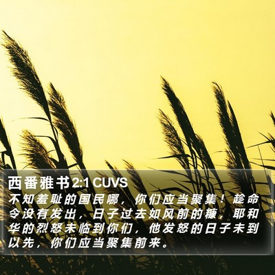 西 番 雅 书 2:1 CUVS Bible Verse Image