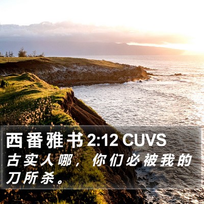 西 番 雅 书 2:12 CUVS Bible Verse Image