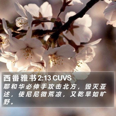 西 番 雅 书 2:13 CUVS Bible Verse Image