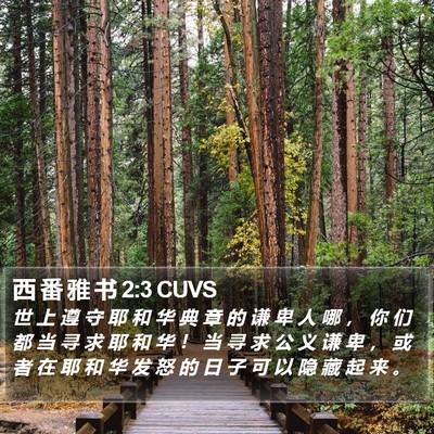 西 番 雅 书 2:3 CUVS Bible Verse Image