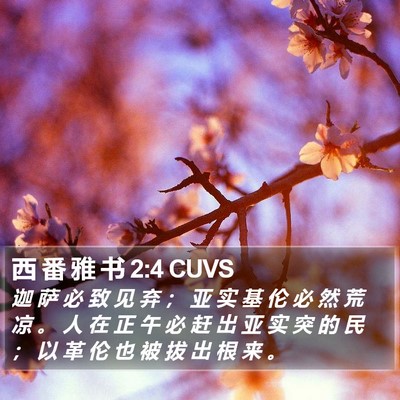 西 番 雅 书 2:4 CUVS Bible Verse Image