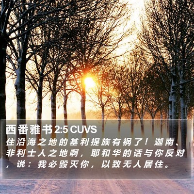 西 番 雅 书 2:5 CUVS Bible Verse Image