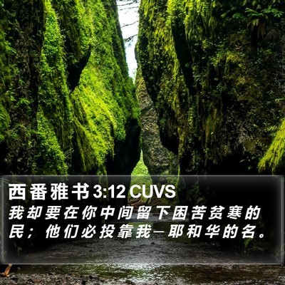 西 番 雅 书 3:12 CUVS Bible Verse Image