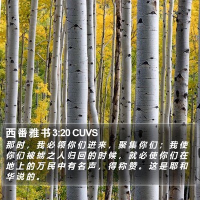 西 番 雅 书 3:20 CUVS Bible Verse Image