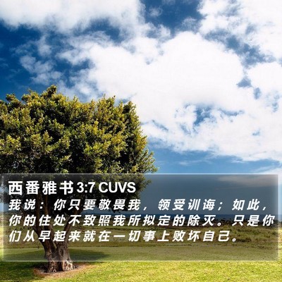 西 番 雅 书 3:7 CUVS Bible Verse Image
