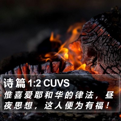 诗 篇 1:2 CUVS Bible Verse Image