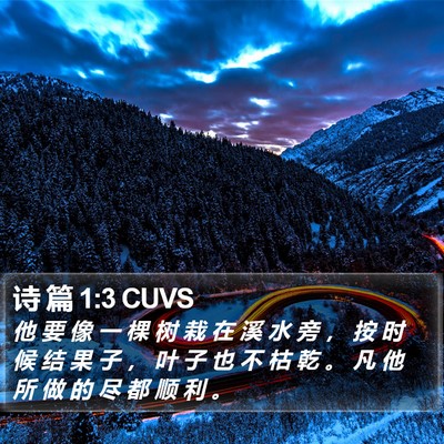 诗 篇 1:3 CUVS Bible Verse Image