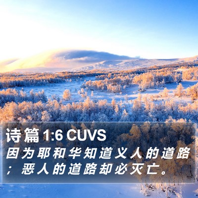 诗 篇 1:6 CUVS Bible Verse Image