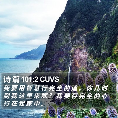 诗 篇 101:2 CUVS Bible Verse Image