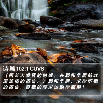 诗 篇 102:1 CUVS Bible Verse Image