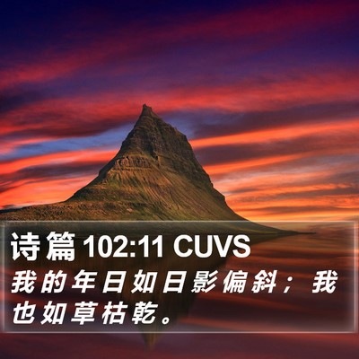 诗 篇 102:11 CUVS Bible Verse Image
