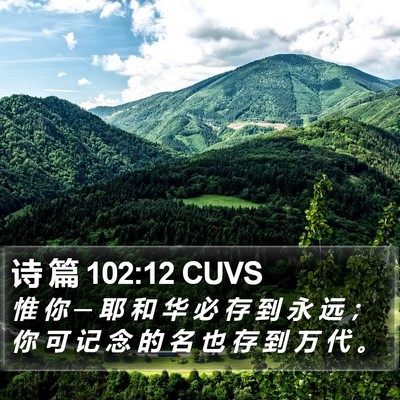 诗 篇 102:12 CUVS Bible Verse Image