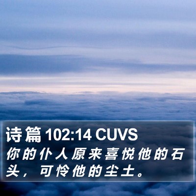 诗 篇 102:14 CUVS Bible Verse Image
