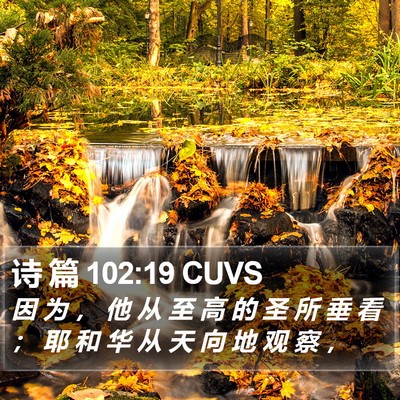 诗 篇 102:19 CUVS Bible Verse Image