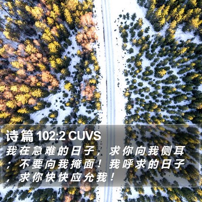 诗 篇 102:2 CUVS Bible Verse Image