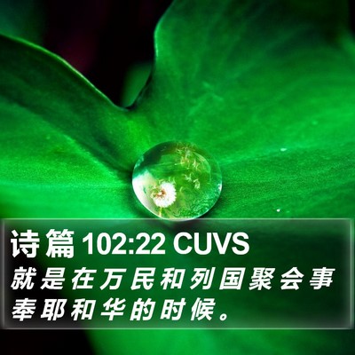 诗 篇 102:22 CUVS Bible Verse Image