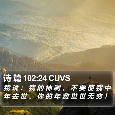 诗 篇 102:24 CUVS Bible Verse Image