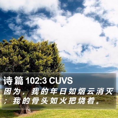 诗 篇 102:3 CUVS Bible Verse Image
