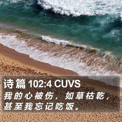 诗 篇 102:4 CUVS Bible Verse Image
