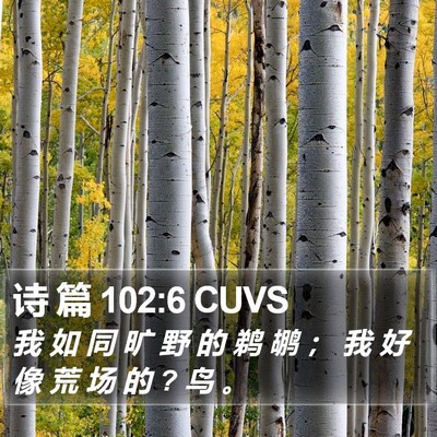 诗 篇 102:6 CUVS Bible Verse Image