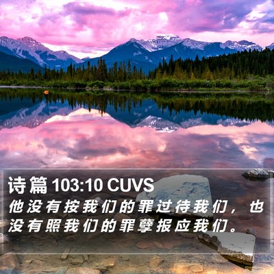 诗 篇 103:10 CUVS Bible Verse Image