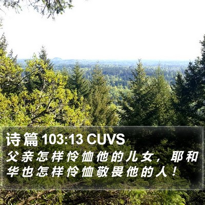 诗 篇 103:13 CUVS Bible Verse Image