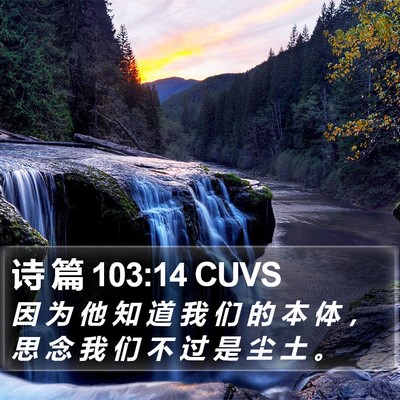 诗 篇 103:14 CUVS Bible Verse Image